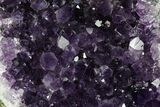 Free-Standing, Amethyst Geode Section - Uruguay #178652-1